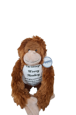 Worry Bear Or Weighted Bear for anxiety and sensory